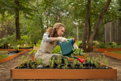 How to Build a Raised Herb Garden With Pallets